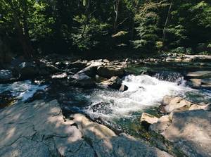 why see Great Falls when you can see all these mini falls?