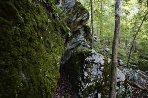 part of the swamp was stony, not sure how that works if its a swamp