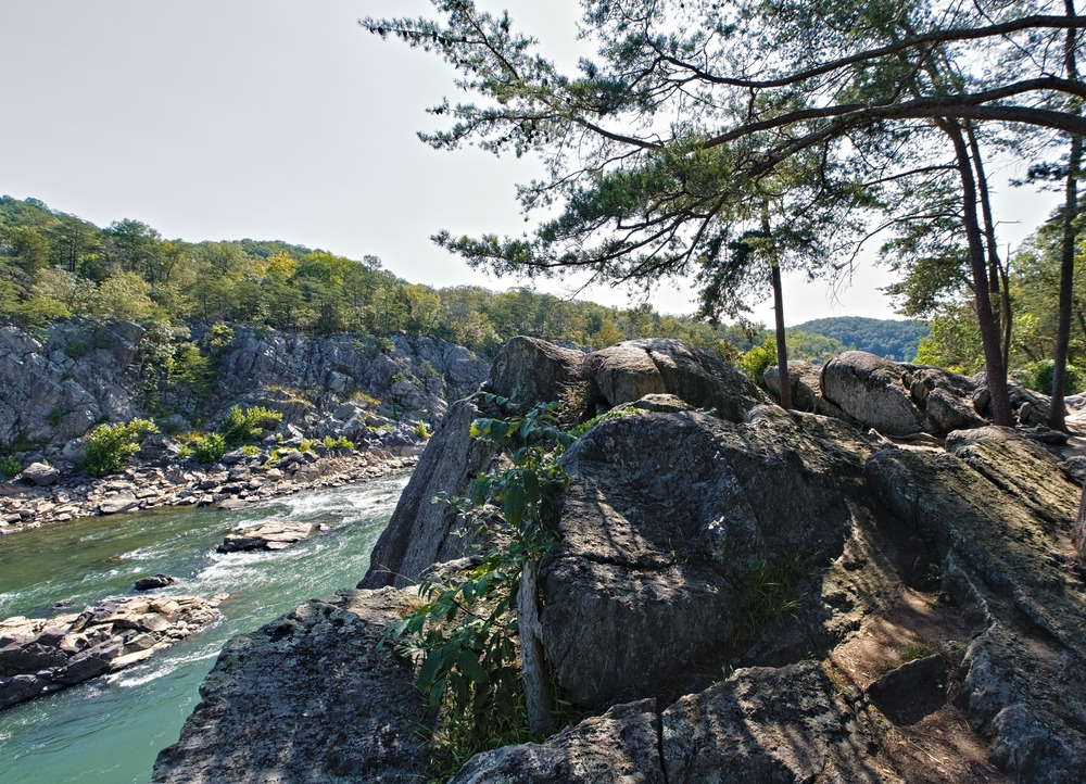 river passing with stony outcrop