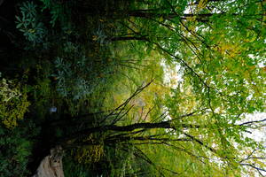 just a random shot i took from one of the times i stoped on the gravel road