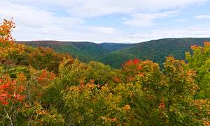 a goodbye view of the mountains, it really is interesting how the colors are changing at different parts of the forest