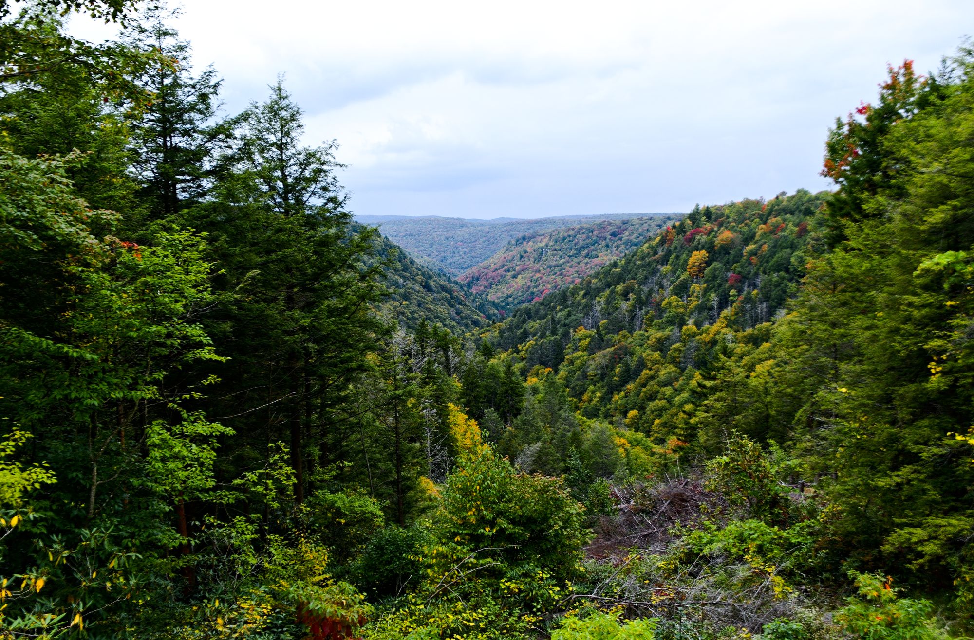 valley view