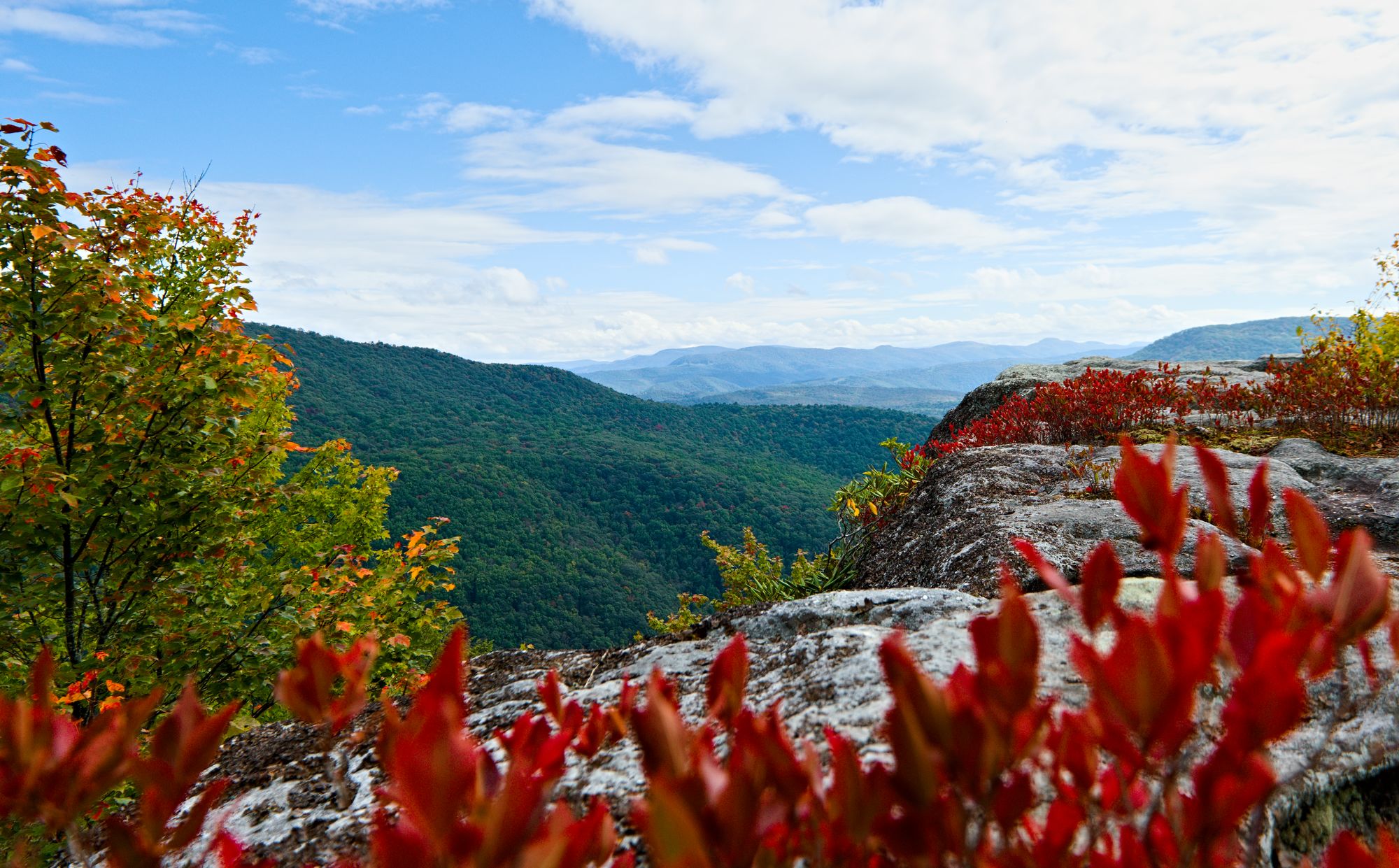 view of mountain and fall foreground