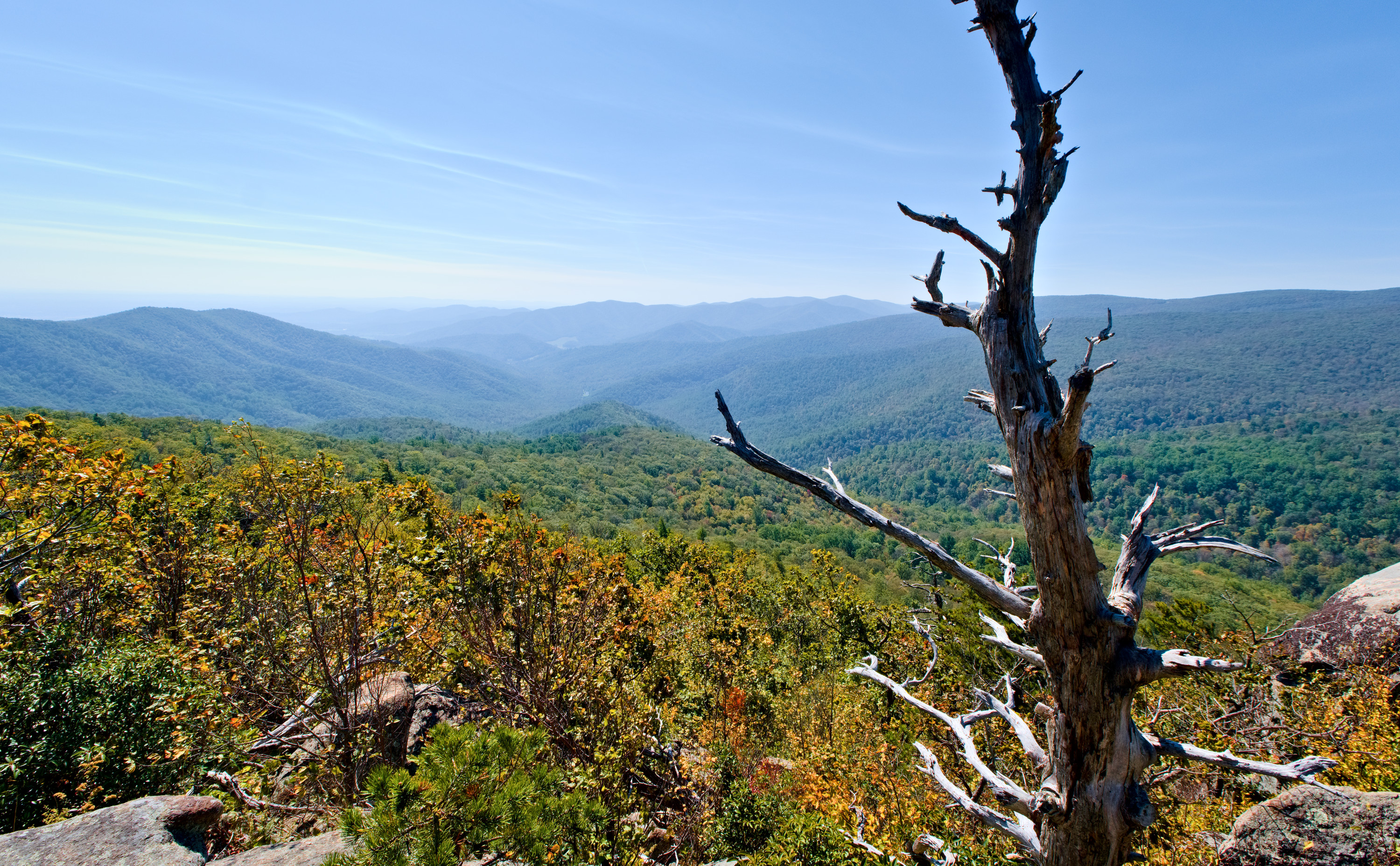 Robertson mt view