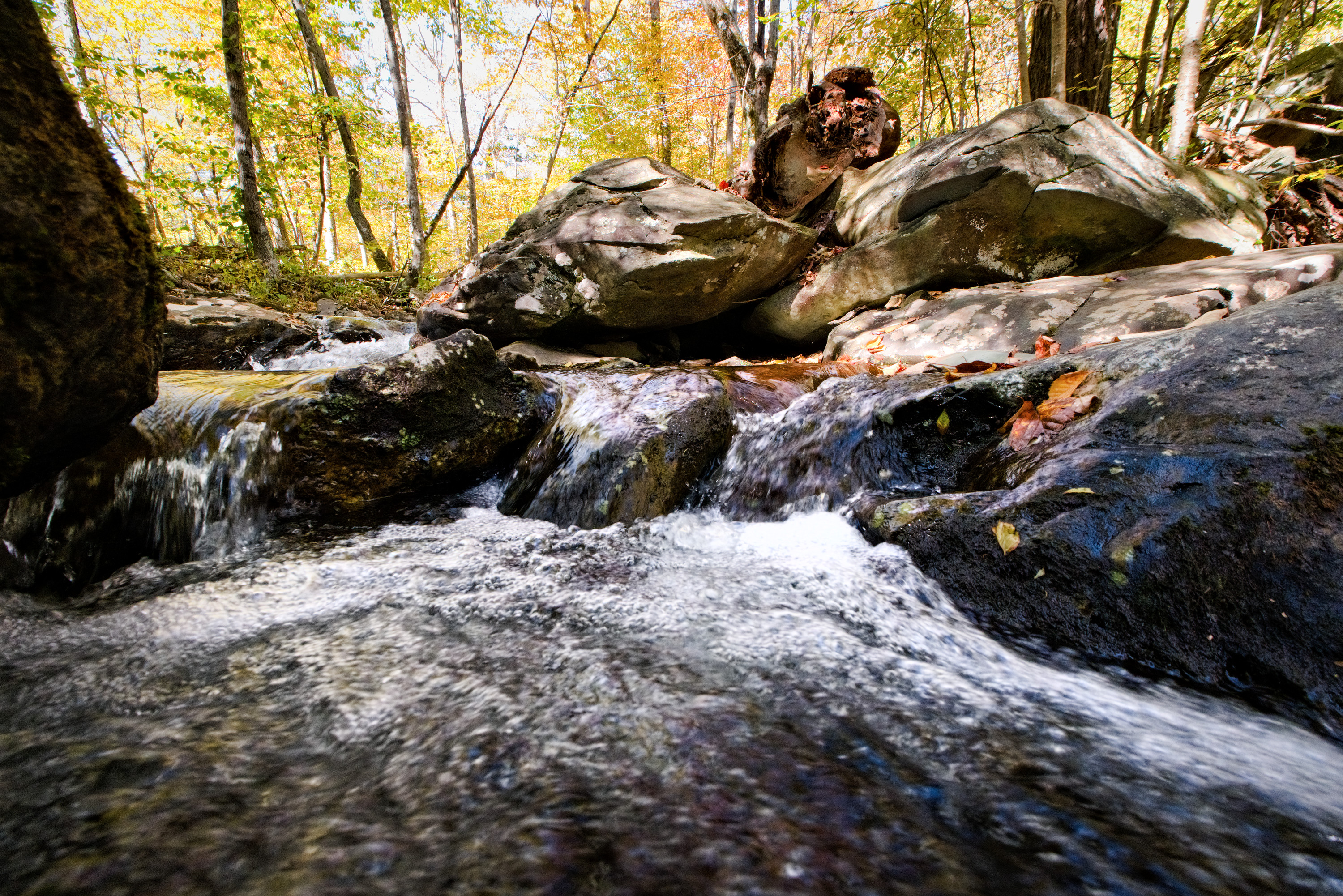 whiteoak stream