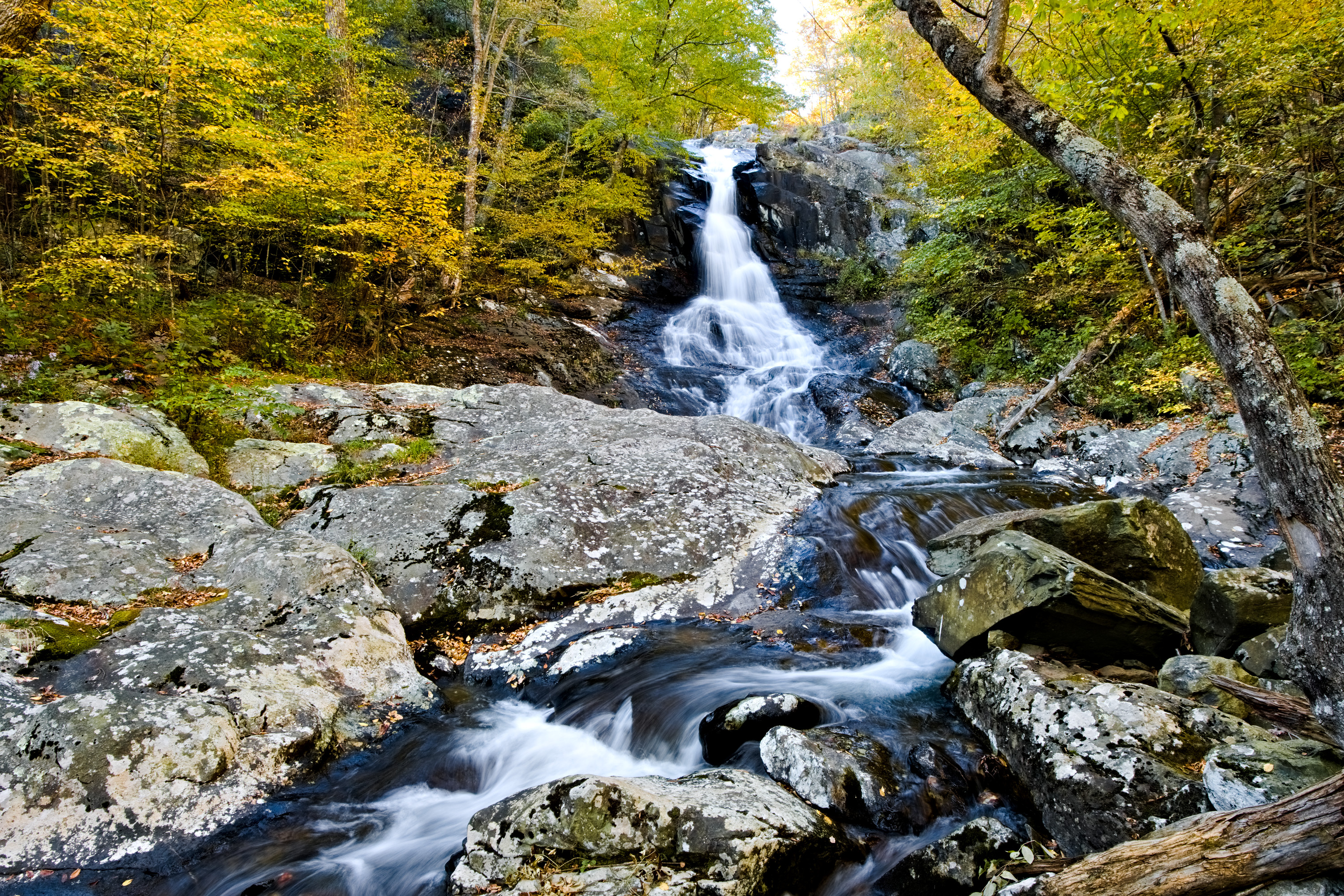 whiteoak falls