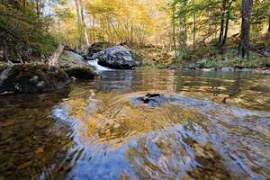 this is part of the creek at white oak canyon