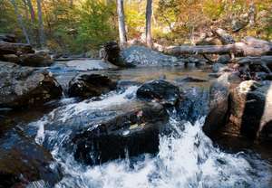 some mini falls