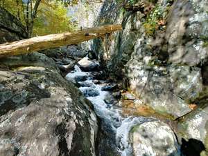 a part of the creek carved its way to make a mini gorge