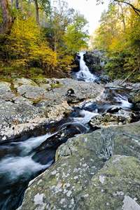 a portrait view of the falls