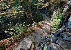 part of the path down to the base of the falls, quite pretty with the stones