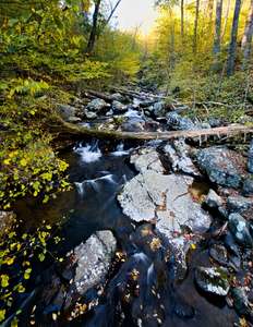 just a view of the creek, and the creek really is pretty