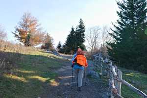 some hikes on the trail. i talked to them a bit the're from flordia and are hiking bits and pieces of the A.T