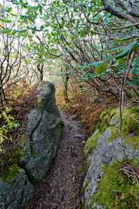 also on wilburns ridge, a bit narower