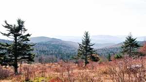 i have too many pretty mountian views from this hike! I like this one alot 