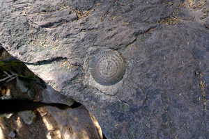summit marker of mount rodgers and now i can celebrate being done writing 32 captions